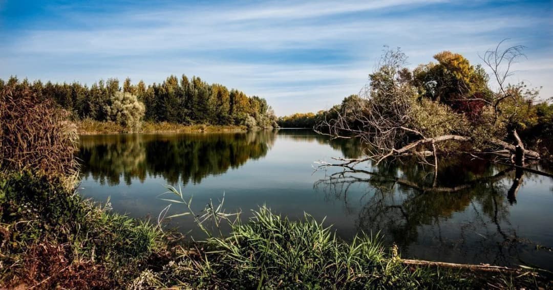 Spływy kajakowe Spała – najlepsze trasy, ceny i porady dla początkujących