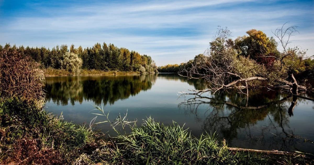 Spływy kajakowe Spała – najlepsze trasy, ceny i porady dla początkujących