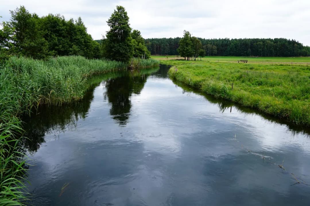 Gdzie na kajaki Pomorskie - najlepsze trasy i ukryte perełki