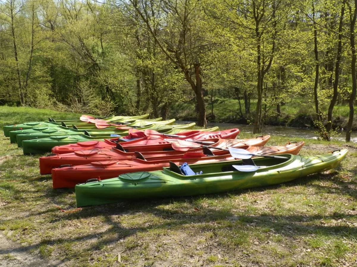 Spływy kajakowe po Kwisie - najlepsze trasy i organizacje dla Ciebie